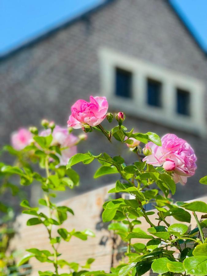 A Little Peace And Quiet Bed and Breakfast Wahlwiller Exteriör bild